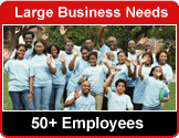 Large Businesses