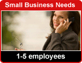 SMALL BUSINESSES